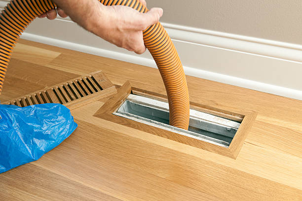 Best HVAC Duct Inspection Services  in Belding, MI